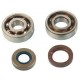 KIT CUSCINETTI BANCO SKF+PARAOLIO MINARELLI AM345 AM6