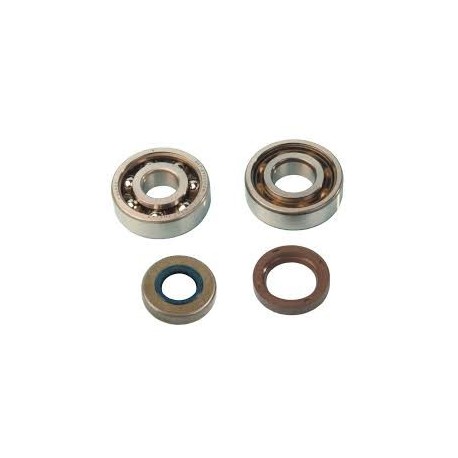 KIT CUSCINETTI BANCO SKF+PARAOLIO MINARELLI AM345 AM6
