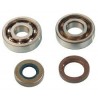 KIT CUSCINETTI BANCO SKF+PARAOLIO MINARELLI AM345 AM6