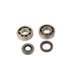 KIT CUSCINETTI BANCO SKF+PARAOLIO MINARELLI AM345 AM6