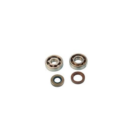 KIT CUSCINETTI BANCO SKF+PARAOLIO MINARELLI AM345 AM6