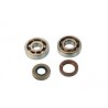 KIT CUSCINETTI BANCO SKF+PARAOLIO MINARELLI AM345 AM6