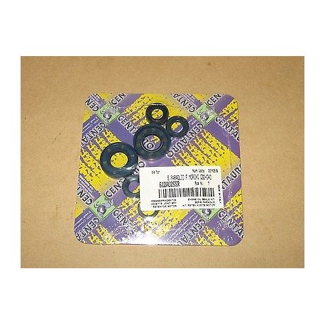 SERIE PARAOLIO MOTORE F.MORINI G30 CON O-RING