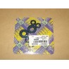 SERIE PARAOLIO MOTORE F.MORINI G30 CON O-RING