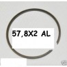 SEGMENTO D.57,8X2 AL