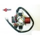STATORE ELETTRONICO 4 POLI 2 BOBINE PER MOTORE PIAGGIO 50 BOSS  BRAVO EVL/3  SI  FL2  MIX SUPER BRAVO  SUPERBRAVO 3 CIAO PORTER