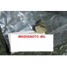 BULLONE MA 10X14 PER FLANGIA MOZZO POSTERIORE CIAO-BRAVO-BOXER-SI