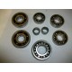 KIT SERIE CUSCINETTI MOTORE MINARELLI AM345 AM6
