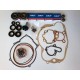 KIT SERIE CUSCINETTI-PARAOLIO-PARAOLIO POMPA H2O-GUARNIZIONI MOTORE MINARELLI AM345 AM6