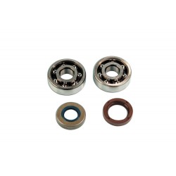 SERIE KIT CUSCINETTI BANCO SKF+PARAOLIO MINARELLI AM345 AM6