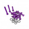 KIT VITI ANODIZZATE ERGAL VIOLA CARTER TRASMISSIONE SCOOTER PIAGGIO