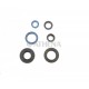 SERIE PARAOLIO MOTORE CAGIVA WSXT 125 ALETTA ROSSA ELEFANT 125