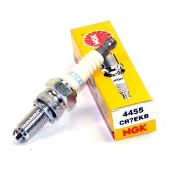 CANDELA NGK DR8EA
