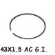 SEGMENTO D.43X1,5 GRANO INTERNO
