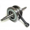 ALBERO MOTORE PIAGGIO 50 4T SEDI CUSCINETTI 17-20 MM