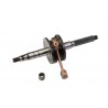 ALBERO MOTORE RMS MALAGUTI PHANTOM F12 R RAFF.ARIA 2007-2010