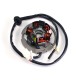 STATORE VOLANO DUCATI MOTORE MINARELLI 50 2T