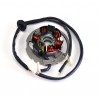 STATORE VOLANO DUCATI MOTORE MINARELLI 50 2T
