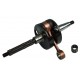 ALBERO MOTORE PIAGGIO 50 SPINOTTO D.12