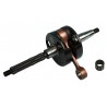 ALBERO MOTORE PIAGGIO 50 SPINOTTO D.12