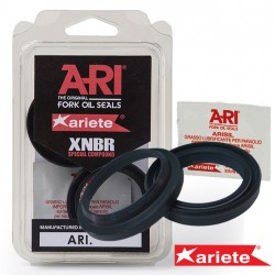 KIT PARAPOLVERE ARIETE 40X52,5X4,6/14