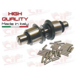 PERNO SOSPENSIONE ANTERIORE COMPLETO VESPA GS 160