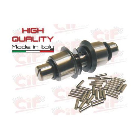 PERNO SOSPENSIONE ANTERIORE COMPLETO VESPA GS 160