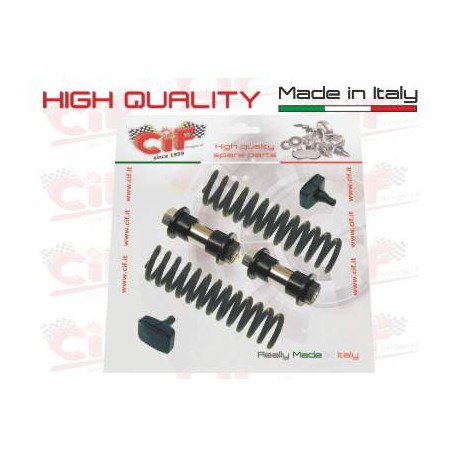 KIT REVISIONE FORCELLA ANTERIORE PIAGGIO CIAO PX