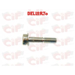 VITE FISSAGGIO VASCHETTA CARBURATORE SHA SHB SHBC