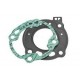 GUARNIZIONI SMERIGLIO RMS SCOOTER APRILIA SR 50 DITECH'00