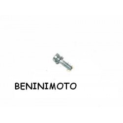 VITE VASCHETTA CARBURATORE DELL'ORTO PHBG