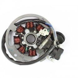 STATORE VOLANO PER TUTTI I MOTORI GY6 1PE40QMB 50cc 2T