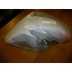 PARAFANGO ANTERIORE BIANCO PERLA CAGIVA WSST 125 ALETTA ORO S2