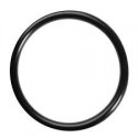 ANELLI O-RING